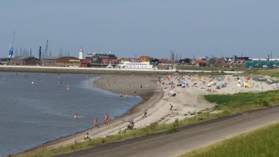 Key West Lägenhet Harlingen Exteriör bild